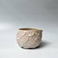 Jellybloom Matcha Bowl #6