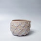 Jellybloom Matcha Bowl #9