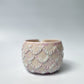 Jellybloom Matcha Bowl #10