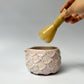 Jellybloom Matcha Bowl #6
