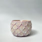 Jellybloom Matcha Bowl #8